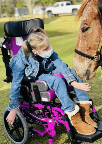 Girl in wheelchair with horse