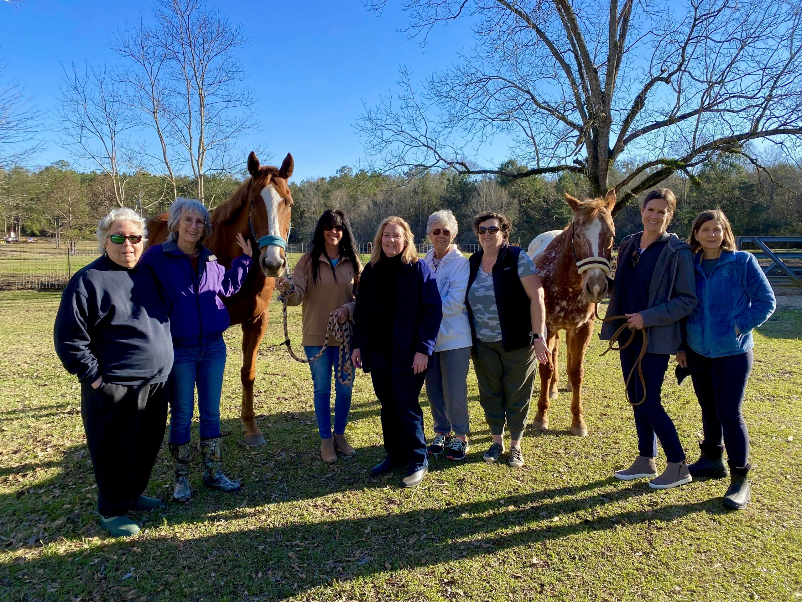 Ladies with horses